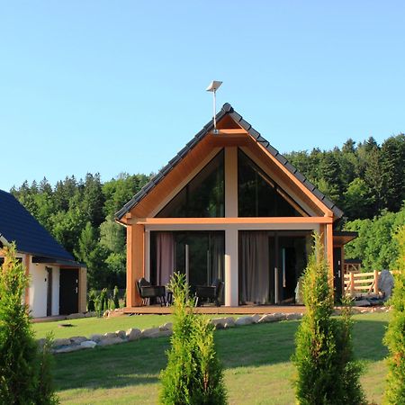Galena I Gnejs Villa Stronie Slaskie Ngoại thất bức ảnh