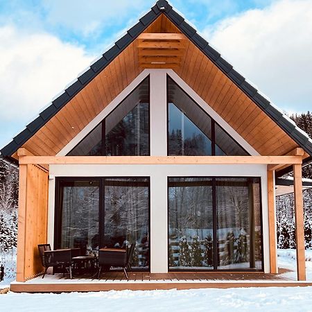 Galena I Gnejs Villa Stronie Slaskie Ngoại thất bức ảnh